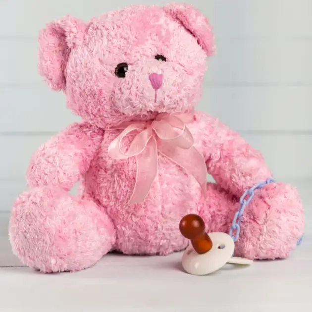 Popular Cute TeddieTot
