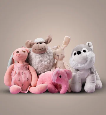 TOTO Wonder Land